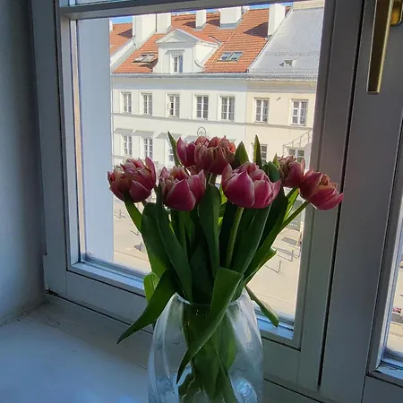 Novo Mundo 아파트